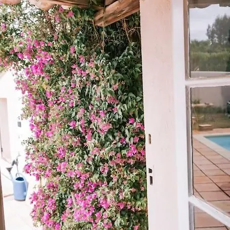 La Mandragore Villa *