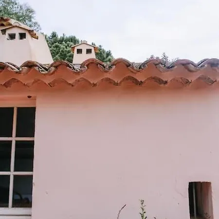 La Mandragore Saint-Tropez