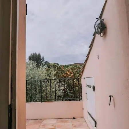 La Mandragore * Saint-Tropez