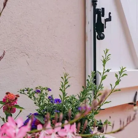 La Mandragore * Saint-Tropez