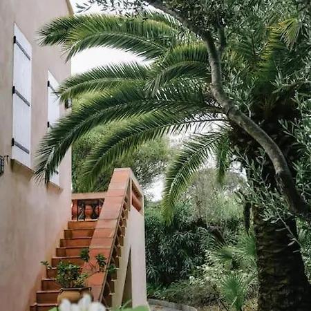 La Mandragore Saint-Tropez