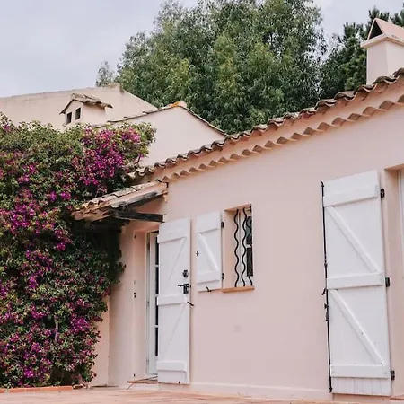 La Mandragore Saint-Tropez