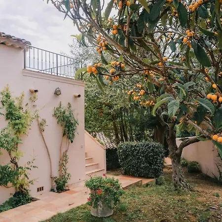 Villa La Mandragore