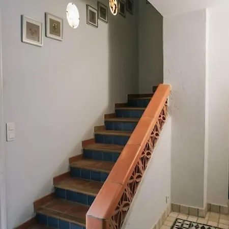 La Mandragore *